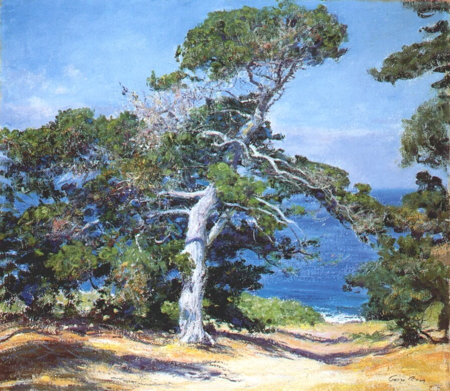 A Carmel Pine, 1918